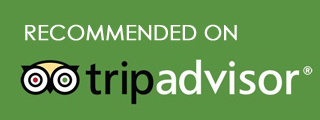 Trip Advisor