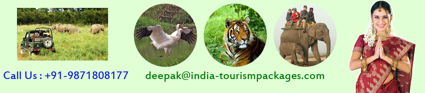 Indian Wildlife Tours