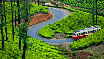 Kerala Tour Packages