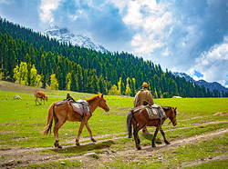 Kashmir Tour Package