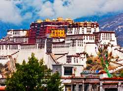 Ladakh Monasteries Tour