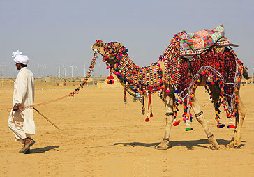 Rajasthan Tour Packages