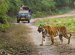 Corbett National Park Tour 1