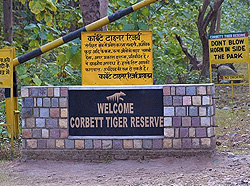 Corbett National Park Tour 1